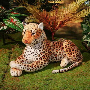 l` tBMA 킢 V~[V   l` ʂ  qE q j̎q ̎q  Mtg