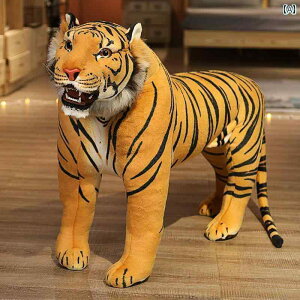 l` tBMA 킢  tFCN  g p_ jR[ l` ʐ^ i ʂ Oh[