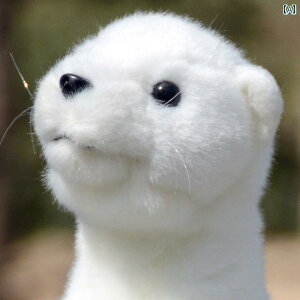 l` tBMA 킢 킢   tFbg ʂ tFbg l` V~[V  Oh[ a v[g