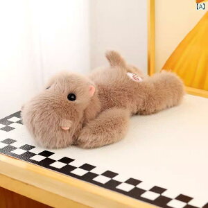  tBMA l` 킢    ̂Ђ  e[u l` Jo J Jso ʂ  Mtg