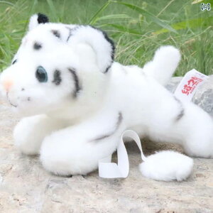  tBMA l`    l`   yY | C S ʂ zCg^CK[ Mtg