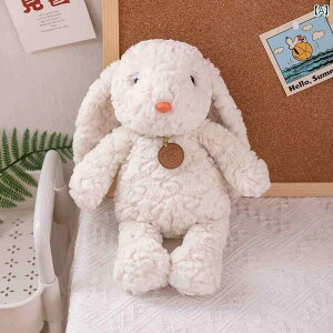  tBMA l` 킢 K  ETM l` ʂ݂ q  l` Ou }V