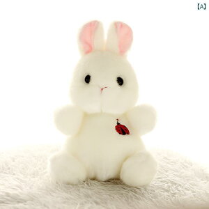  tBMA l` _炩 ETM l` sN ؂ F { p_ nXL[ ʂ V~[V 