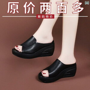 T_ 킢 ₷ Ԃ g{ v EFbW q[ Xbp p 2025N  r[` T_  AEghA y }U[Y