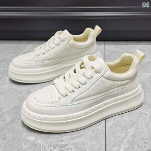 Y Xj[J[ V[Y gAbv Xg[g _bhXj[J[ \[  YV[Y v zCg V[Y Y  YJWA t@bV Xj[J[ 2025