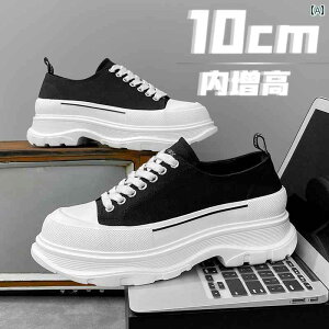 Y Xj[J[ V[Y gAbv Xg[g _bhXj[J[ \[ jp  C t ʋC  C g Abv YV[Y 10 cm