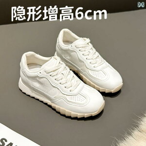 jO V[Y C 2025 tĂ p g Abv V[Y ʋC   zCg  TCY 3233 X|[c tHXgKv