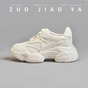 jO V[Y C  g Abv p pp V[Y 2025 t   X|[c  TCY bV ʋC C