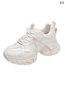 jO V[Y C ʋC  VO bV 傫TCY fB[XV[Y 4143  2025  X|[c s V[Y   