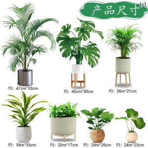 CeA IuWF  3 D  O[ A A  XebJ[     S |[` rO [ \t@ wi CAEg