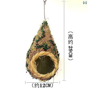 CeA IuWF  V~[V    ct A R[i[ y_g hCu `  i X V[Y