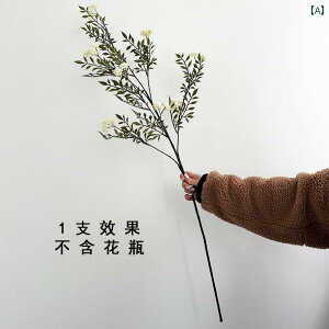 CeA IuWF  Vv x V~[V   Ԃ A  rO [ Ƃ |[` Xg  t[AWg