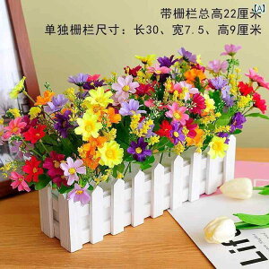 CeA IuWF  c  C tFX t  Zbg ƒp tFCNt[ A[g  LpX 