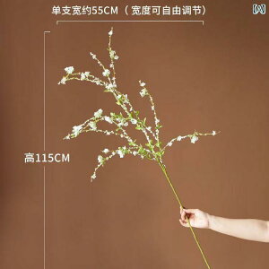 CeA IuWF  Vv   } V~[V Ԃ tFCN ԑ i rO [ Ƃ   t[AWg e[u 