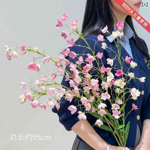 CeA IuWF  XY  rO [ Cg   t[AWg e[u u[P