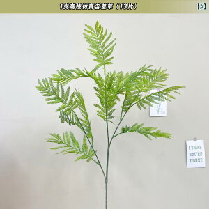 CeA IuWF  yʂ nCGh tFCNO[ A  rO [ erLrlbg _CjO e[u    oCIjbN i