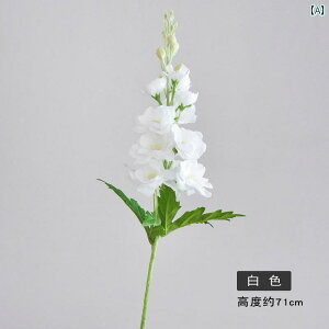 CeA IuWF  ێ G oCIbg  z[ [  AWg ԑ tFCN