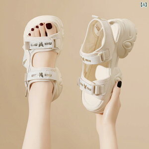 T_ Vv  p  T_ 2025 \tg \[ y vbgtH[ X|[c T_  r[` V[Y