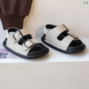 T_ Vv  j̎q C T_ \tg \[ 2024 Ă ߉\ q r[` V[Y y NVbN X^C