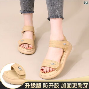 T_ Vv  p X|[c T_  2025V X^C t@bV tbg \tg \[ ~ r[` V[Y Dwp 傫TCY 42