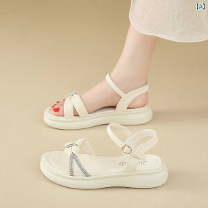  T_ fB[X Dwp tbg T_  Sn K AEghA œKȐV X^C \tg  ~ H fB[Xt@bV 2025