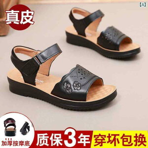  T_ fB[X Ă }U[ T_ p v tbg ~ \tg \[΂p 