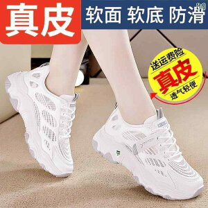 fB[X Xj[J[ 킢  v _bh V[Y p 2025N zbg X^C ʋC bV X|[c JWA