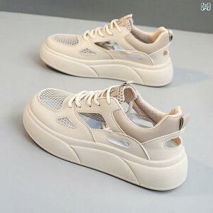 fB[X Xj[J[ 킢 Yierkang v K X|[c V[Y p 2024 ʋC  T_ bV zCg