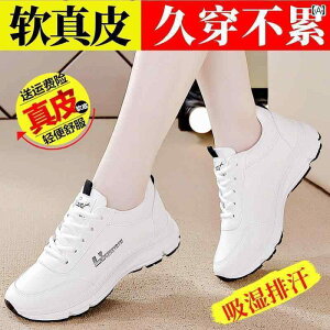 fB[X Xj[J[ 킢 p v X|[c V[Y 2025 tH JWA zCg \tg \[ Ռ z jO