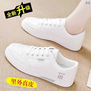 V[Y EH[LOV[Y jOV[Y p v zCg V[Y 2025 t \tg \[ fB[XV[Y fB[XJWAV[Y \ X|[c Xj[J[