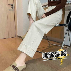 }^jeB }^jeBpc ₷ Dw W[Y t  AE^[  傫TCY Ch bO pc 㕪 JWA h[XgO Xg[g t