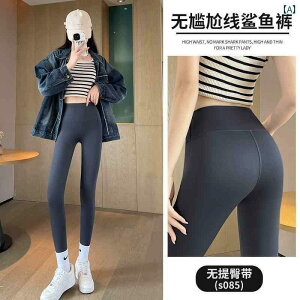 KMX X|[cMX K^Cc Ă AE^[  p ł p V[N pc אg X^C 2025N nCEGXg qbv tg K 傫TCY ~ X~O 