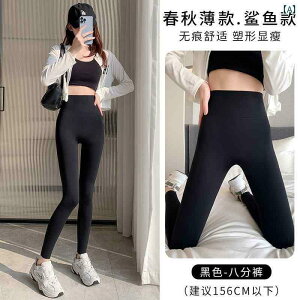 KMX X|[cMX K^Cc 2025 tĂ AE^[  p ł p ߂ T pc 傫TCY  tBbglX   qbv Abv ʂ 