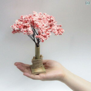 CeA u  a Aؔ   EBhEfBXvC JE^[ H Xg i i  wi