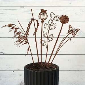 CeA IuWF  Kт Ԃ  gݍ킹 Aؔ   O i S  vO C