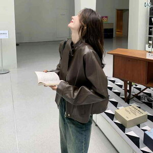 AE^[ WPbg V[g XvOR[g e` }C [h uE X[ U[WPbg fB[X 2025 tH^ nCGh Xg[g uXg X[oCN W