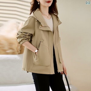 fB[X R[g t IV J[L g`R[g fB[X 2025 tH fB[X zbg X^C  TCY  V[g R[g