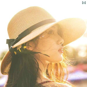 Xq fB[X ނXq  Xq fB[X  s C Tnbg AEghA Lv r[` ʐ^