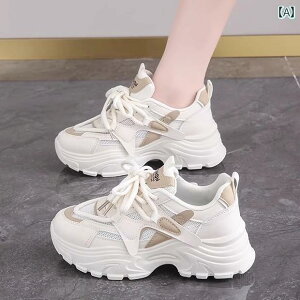 fB[X Xj[J[ IV  f GNXvX A X|[c V[Y p  2025ʋC 傫TCY fB[XV[Y 4143 bV  _bh