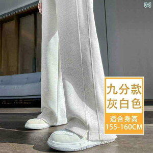 fB[X XEFbg pc Chpc O[  oii Ch bO pc fB[X H~ N 2024 XEFbgpc  TCY h[v i[ Xg[g X|[c