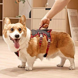 犬用 ハーネス リード 脱走防止 胸背 ベストタイプ 散歩 外出用 中小型犬 コーギー対応 軽量 調整式 ペットチェーン 安全 快適 伸縮性