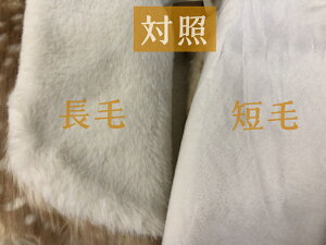 NX}X RXv ߑ q LbY xr[ }g |` ̎q j̎q giJC N[N t[ht g \N tFCNt@[ R[g ^~ H~p 킢 V 