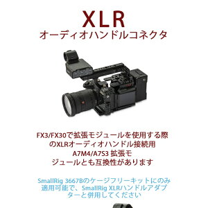 �\�j�[ ��7IV (ILCE-7M4)/��7SIII (ILCE-7SM3) �Ή� �J�����P�[�W�g�����W���[�� CineBack