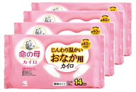 【4個セット】 桐灰 命の母 カイロ 貼る おなか用 小林製薬 じんわり温かい 衣類に貼る お腹用 生理 生理…