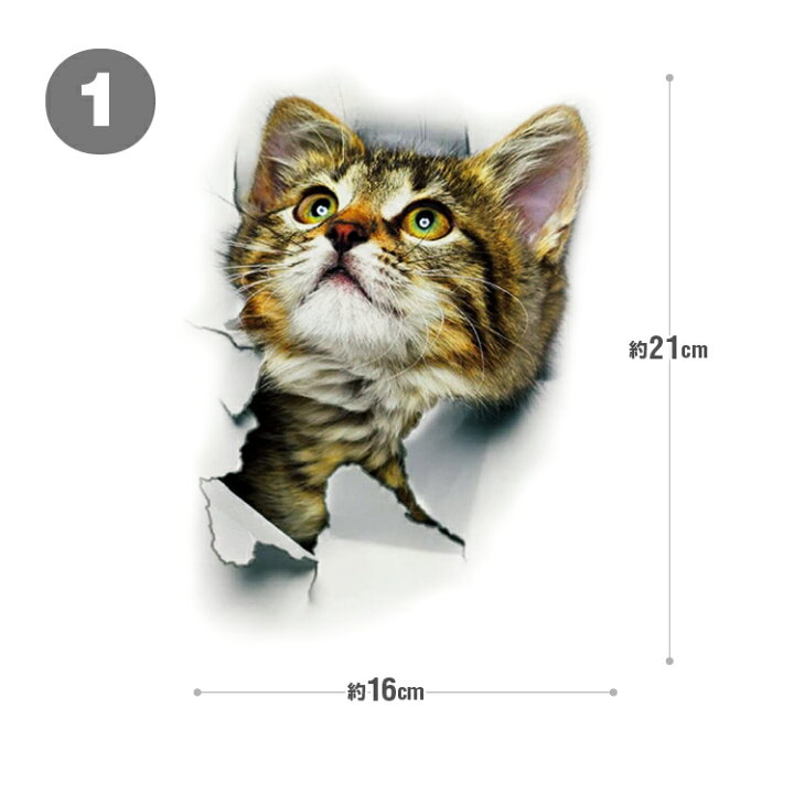 楽天市場 3d感カーステッカー 猫 カッティング ウォールステッカー トリックアート だまし絵 はがせる 車 バイク 部屋 冷蔵庫 家具 トイレにも キズ隠し 3dcat01 ホープスター 楽天市場 3d感カーステッカー 猫 カッティング ウォールステッカー トリックアート だまし絵 はがせる 車 バイク 部屋 冷蔵庫 家具 トイレにも キズ隠し 3dcat01 ホープスター