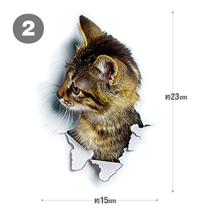 楽天市場 3d感カーステッカー 猫 カッティング ウォールステッカー トリックアート だまし絵 はがせる 車 バイク 部屋 冷蔵庫 家具 トイレにも キズ隠し 3dcat01 ホープスター
