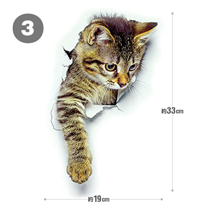 楽天市場 3d感カーステッカー 猫 カッティング ウォールステッカー トリックアート だまし絵 はがせる 車 バイク 部屋 冷蔵庫 家具 トイレにも キズ隠し 3dcat01 ホープスター 楽天市場 3d感カーステッカー 猫 カッティング ウォールステッカー トリックアート だまし絵 はがせる 車 バイク 部屋 冷蔵庫 家具 トイレにも キズ隠し 3dcat01 ホープスター