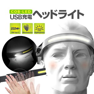 COB-LED/XPE-LED USB[dwbhCg Px350LM 10W yʏ^ IPX4hdl ̊mXCb`@\ ʃ[hؑ hЃObY ]ԃCgɂ ԍ EH[LO ̎UȂǂ HOP-COBUHX200