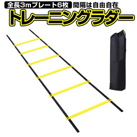 トレーニングラダー3m スピードラダー プレート6枚 トレーニング器具 瞬発力 敏捷性 軽量 スポーツ 収納袋付き HOP-STLAD03M