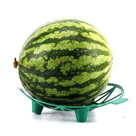 【2枚セット】果物栽培トレイ スイカマット 受け皿 イチゴ/メロン/かぼちゃに 果物の下敷き 栽培台座 直径195mm HOP-YYX19502S